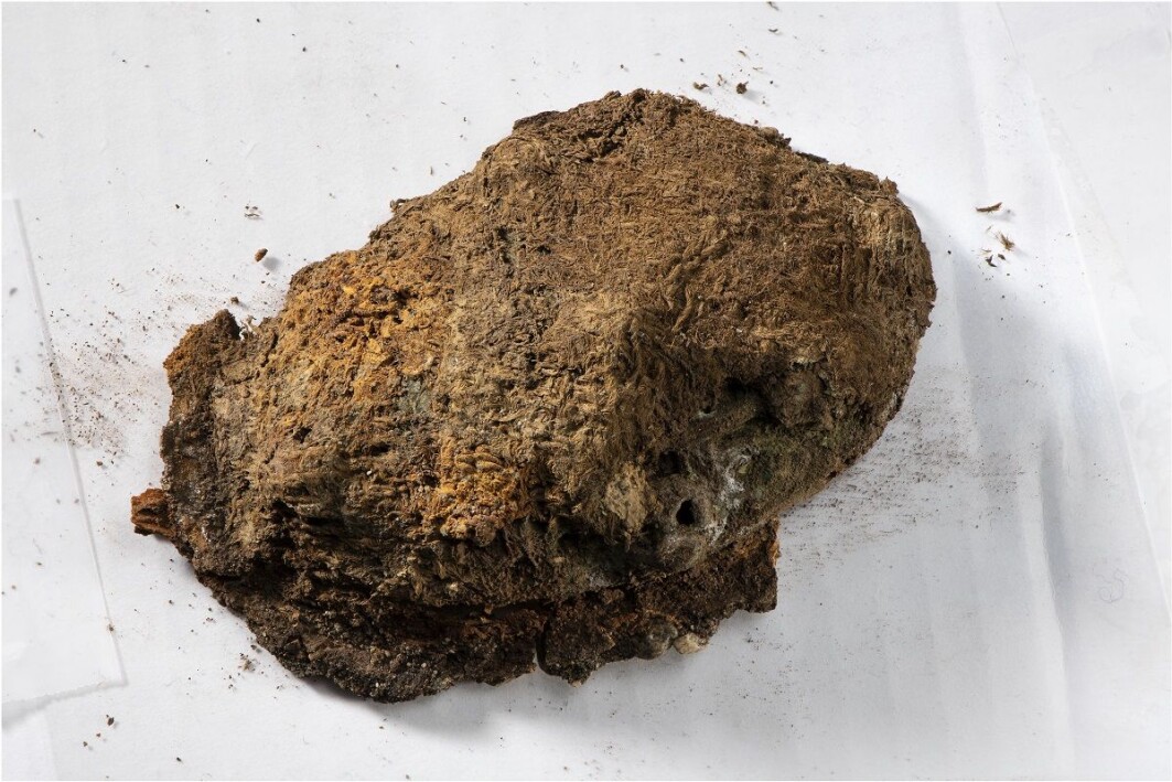 Spennen med tekstilet ble funnet i en kvinnegrav på Hestnes sør i Trøndelag under utgravinger i 2020. Grava er datert til cirka år 850–950, midt i vikingtid. Spennen med tekstilet ble funnet i en kvinnegrav på Hestnes sør i Trøndelag under utgravinger i 2020. Grava er datert til cirka år 850–950, midt i vikingtid.