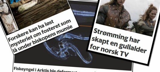 Forskningspodden: Følsom torsk, gullalder for norsk TV og biskop-mysterium er løst