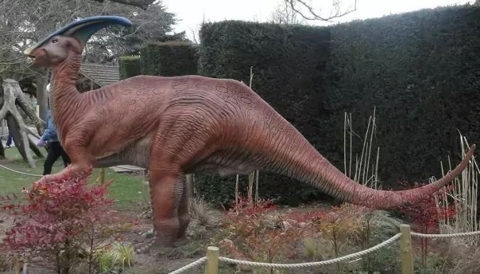 Et annet, og kanskje mer kjent medlem av nebbdinosaur-familien er Parasaurolopus, som du kanskje har sett i filmen Jurassic Park. Dette er en model fra Bristol Zoo i England