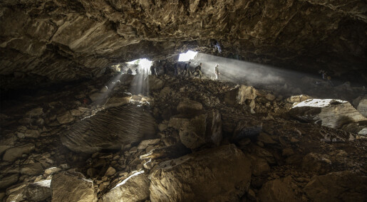 Eldgammelt bjørne-DNA er hentet ut fra jord i en grotte