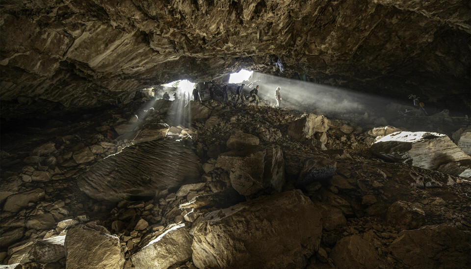 Tiss og avføring etter dyr som levde i Chiquihuite-hulen i Mexico gir forskere DNA-data flere tusen år senere.