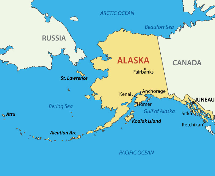 Området mellom Alaska og Russland, som heter Beringstredet, har ikke alltid vært et hav. Helt til omtrent 10 000 år siden var det mulig å gå fra Asia til Amerika. Mange mener det er sånn de første menneskene også kom til Nord-Amerika. Nå mener forskerne at nebbdinosaurene også kom fra Asia til Amerika på denne veien. Området mellom Alaska og Russland, som heter Beringstredet, har ikke alltid vært et hav. Helt til omtrent 10 000 år siden var det mulig å gå fra Asia til Amerika. Mange mener det er sånn de første menneskene også kom til Nord-Amerika. Nå mener forskerne at nebbdinosaurene også kom fra Asia til Amerika på denne veien.