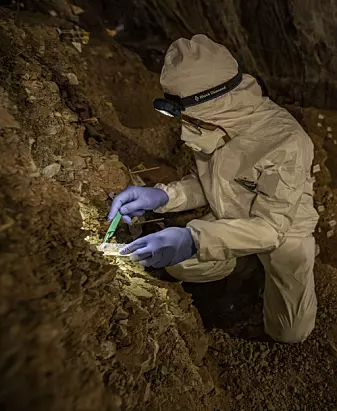 Mikkel Winther Pedersen ved Københavns Universitet tar sedimentprøver fra grotten.