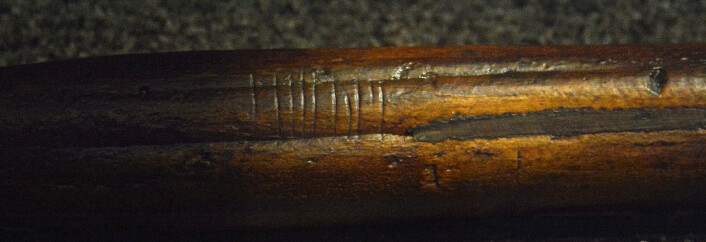 Pinnen fra Oseberg-skipet fra vikingtida rommer en gåtefull beskjed: «Lite vet mennesket» er én mulig tolkning. (Foto: Ida Kvittingen) Pinnen fra Oseberg-skipet fra vikingtida rommer en gåtefull beskjed: «Lite vet mennesket» er én mulig tolkning. (Foto: Ida Kvittingen)