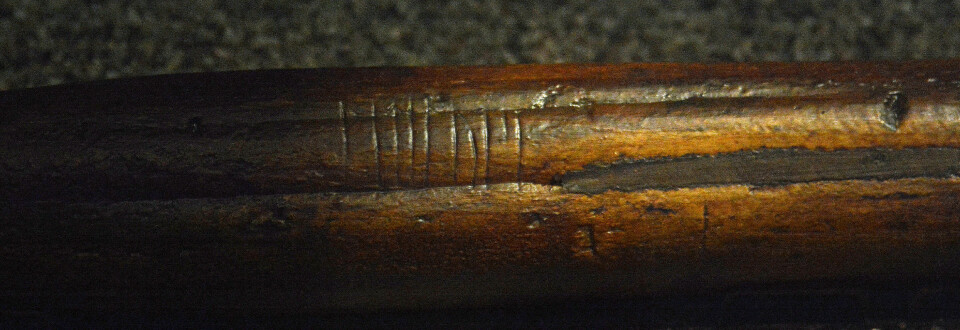 Pinnen fra Oseberg-skipet fra vikingtida rommer en gåtefull beskjed: «Lite vet mennesket» er én mulig tolkning. (Foto: Ida Kvittingen)