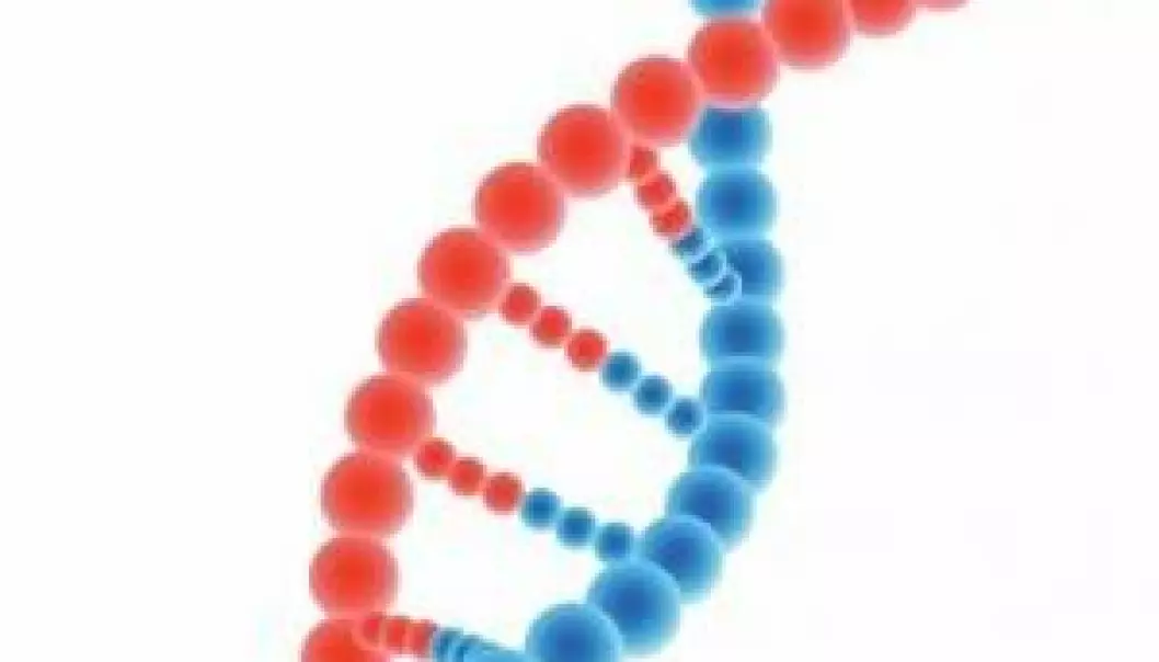 Ny teknikk for å se på DNA