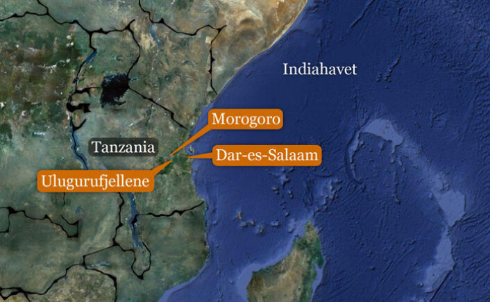 De norske geitene holder til hos bønder i Ulugurufjellene i den østlige delen av Tanzania. (Foto: (Kart: Google Maps/tilpasset forskning.no/Per Byhring)) De norske geitene holder til hos bønder i Ulugurufjellene i den østlige delen av Tanzania. (Foto: (Kart: Google Maps/tilpasset forskning.no/Per Byhring))