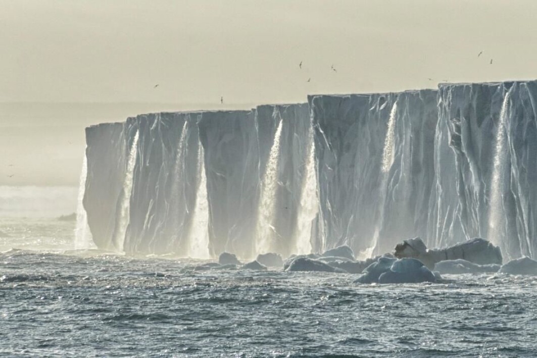 Waterfalls of running meltwater from the Bråsvell glacier on Svalbard. Waterfalls of running meltwater from the Bråsvell glacier on Svalbard.