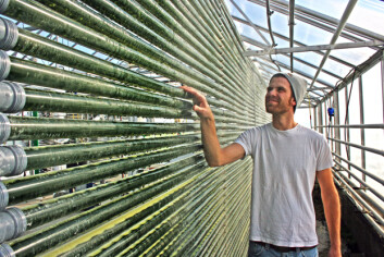 "Inne i rørene vokser algene som gir Omega-3. Masterstudent Anstein Freberg ved Universitetet for miljø- og biovitenskap trives godt i veksthuset. Foto: Eivind Norum, UMB" "Inne i rørene vokser algene som gir Omega-3. Masterstudent Anstein Freberg ved Universitetet for miljø- og biovitenskap trives godt i veksthuset. Foto: Eivind Norum, UMB"