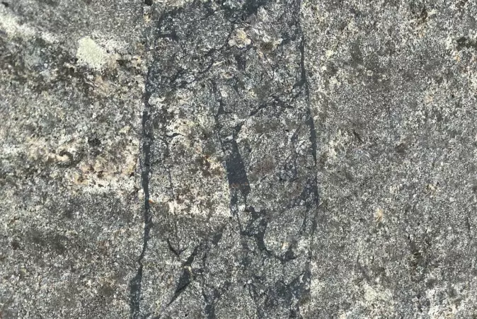 Et fossilt jordskjelv (svarte linjer) som er bevart i stein i Lofoten.
