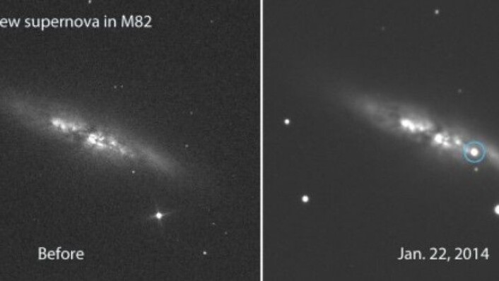 På disse to bildene er det mulig å se forandringen i galaksen M82. Supernovaen vil om en ukes tid lyse mange ganger kraftigere enn dette. (Foto: Ernesto Guido, Nick Howes & Martino Nicolin) På disse to bildene er det mulig å se forandringen i galaksen M82. Supernovaen vil om en ukes tid lyse mange ganger kraftigere enn dette. (Foto: Ernesto Guido, Nick Howes & Martino Nicolin)