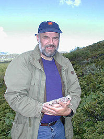 Jan T. Lifjeld. (Foto: Naturhistorisk museum) Jan T. Lifjeld. (Foto: Naturhistorisk museum)
