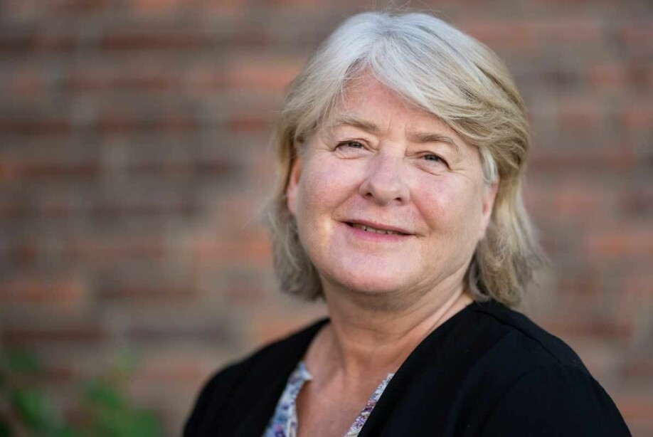 Anne Rita Øksengård er forskningsleder i Nasjonalforeningen for folkehelsen. Hun har tro på at forskningen på demens-behandling kan komme langt de neste fem årene.