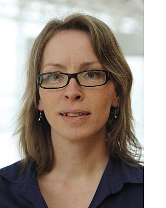 Hege Merete Somby er førsteamanuensis ved Fakultet for lærerutdanning og pedagogikk på Høgskolen i Innlandet. Hege Merete Somby er førsteamanuensis ved Fakultet for lærerutdanning og pedagogikk på Høgskolen i Innlandet.