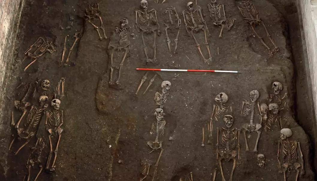 Forskere har undersøkt skjeletter fra middelalder-kirkegårder i Cambridge.