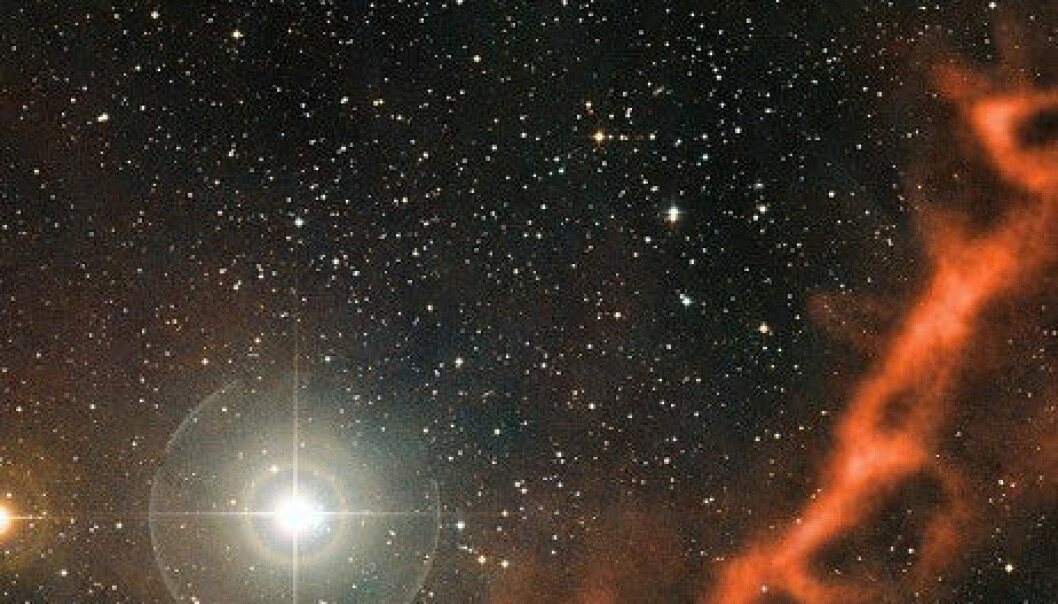 Kosmisk støvsky føder babystjerner