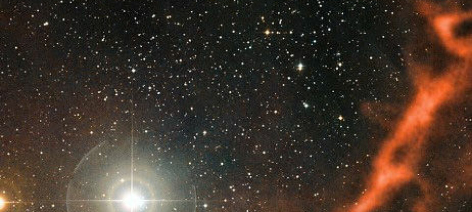 Stjernedannande støvsky i stjernebiletet Tyren. Stjerna til venstre i biletet er Phi Tauri, som ligg om lag 100 lysår nærare jorda enn støvskya. ESO/APEX (MPIfR/ESO/OSO)/A. Hacar et al./Digitized Sky Survey 2, Davide De Martin