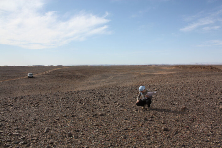 Landskapet i området der Tissint-meteoritten falt, sør i Marokko, er kanskje ikke så forskjellig fra steinens hjemtrakter. (Foto: H. Chennaoui Aoudjehane) Landskapet i området der Tissint-meteoritten falt, sør i Marokko, er kanskje ikke så forskjellig fra steinens hjemtrakter. (Foto: H. Chennaoui Aoudjehane)