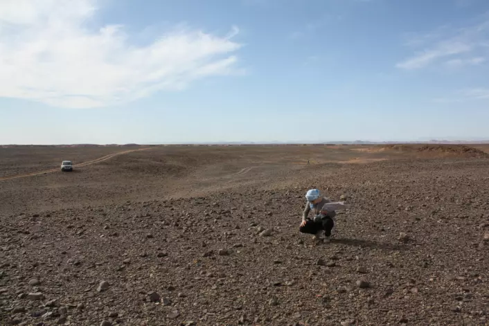 Landskapet i området der Tissint-meteoritten falt, sør i Marokko, er kanskje ikke så forskjellig fra steinens hjemtrakter. (Foto: H. Chennaoui Aoudjehane)