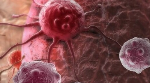 Ny metode skal peke ut motstandsdyktige kreftceller