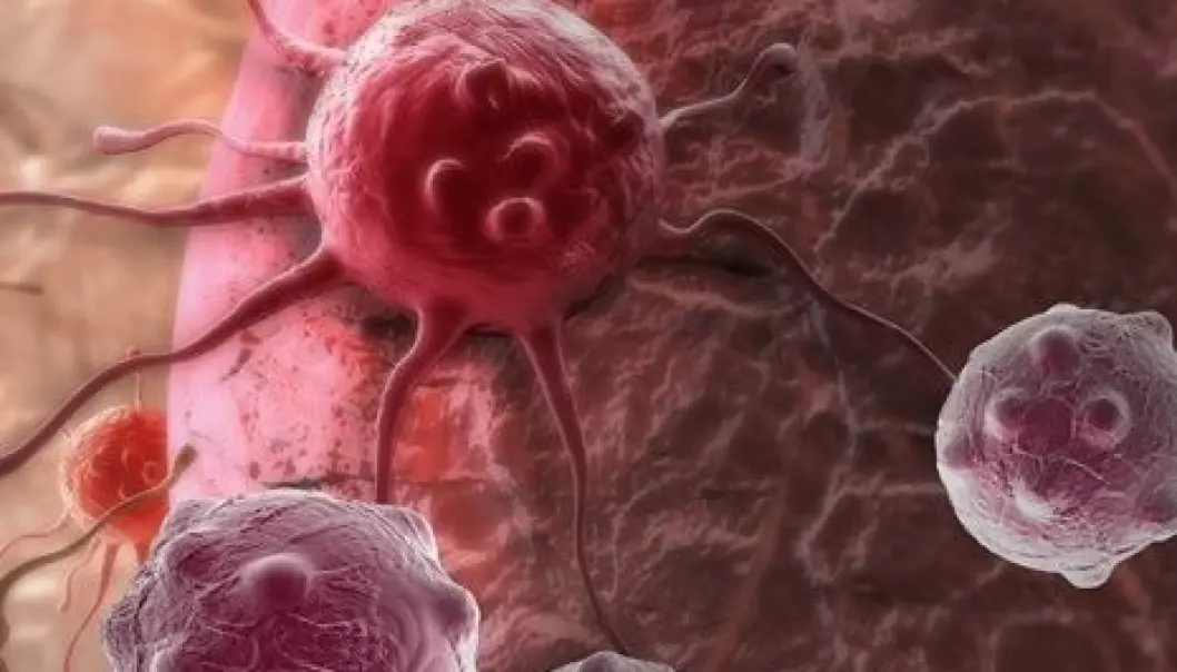 Ny metode skal peke ut motstandsdyktige kreftceller