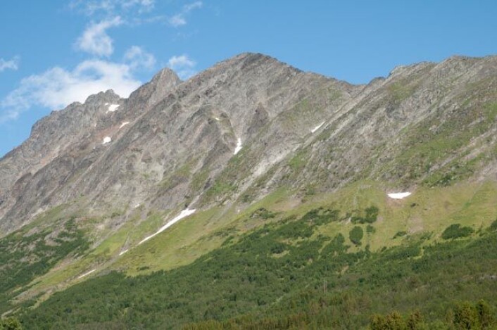 Store ressurser ligger gjemt i utmark i form av godt beite for husdyr som sau, geit og rein. Her fra Lyngen kommune i Troms. (Foto: Skog & Landskap) (Foto: Skog og landskap) Store ressurser ligger gjemt i utmark i form av godt beite for husdyr som sau, geit og rein. Her fra Lyngen kommune i Troms. (Foto: Skog & Landskap) (Foto: Skog og landskap)