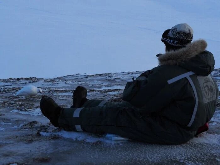 Norsk Polarinstitutt gjør årlige bestandstakseringer av Svalbardrype. Analyser av disse viser at rypa har blitt begunstiget av de midlere vintrene på Svalbard. Norsk Polarinstitutt gjør årlige bestandstakseringer av Svalbardrype. Analyser av disse viser at rypa har blitt begunstiget av de midlere vintrene på Svalbard.