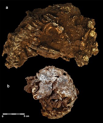 EXTERNAL VIEW: External view of the Panga ya Saidi main block with the articulated partial skeleton. EXTERNAL VIEW: External view of the Panga ya Saidi main block with the articulated partial skeleton.