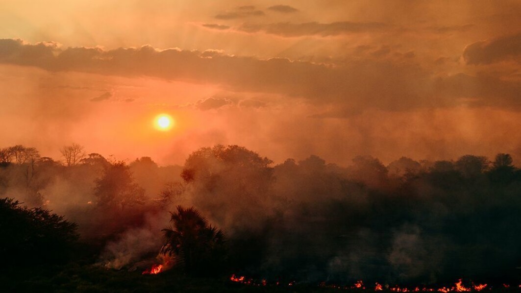 Archaeologists believe the humans who arrived in the Karonga district started burning down the forest to open the landscape for hunting. Archaeologists believe the humans who arrived in the Karonga district started burning down the forest to open the landscape for hunting.