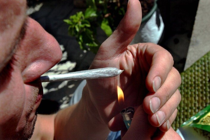 "En tidligere studie har vist at unge som begynner å røyke hasj og marihuana tidlig får lavere IQ. Men holder årsakssammenhengen vann? En norsk økonom tviler." (Foto: Colourbox) "En tidligere studie har vist at unge som begynner å røyke hasj og marihuana tidlig får lavere IQ. Men holder årsakssammenhengen vann? En norsk økonom tviler." (Foto: Colourbox)