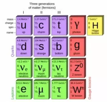 I standardmodellen består alt av seks forskjellige kvarker (lilla), seks forskjellige leptoner (grønne) og fire bosoner (røde) som bærer de fundamentale naturkreftene. Til sist Higgs-bosonet som forklarer hvorfor noen partikler har masse (kvarker, leptoner), mens andre ikke har (bosonene). (Foto: (Illustrasjon: Wikimedia Commons))