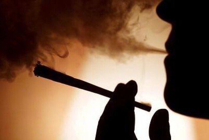Forskerne finner at cannabisbrukere kan ha økt risiko for å utøve vold. Men årsakssammenhengene er fortsatt uklare. (Foto: Colorbox) Forskerne finner at cannabisbrukere kan ha økt risiko for å utøve vold. Men årsakssammenhengene er fortsatt uklare. (Foto: Colorbox)