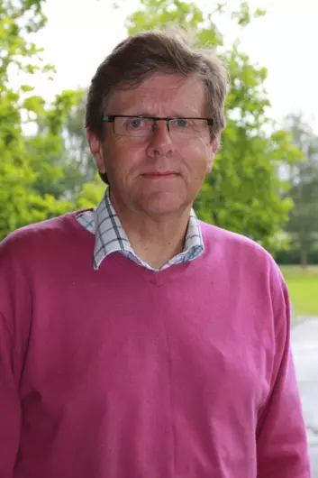 Peder Haug er professor ved Høgskulen i Volda og prosjektleiar for MAFAL. (Foto: Privat)