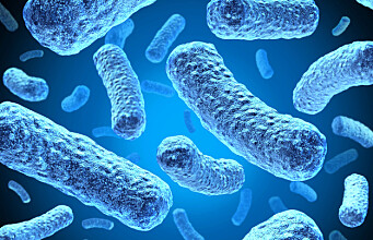 Increase in antibiotic-resistant E. coli infections