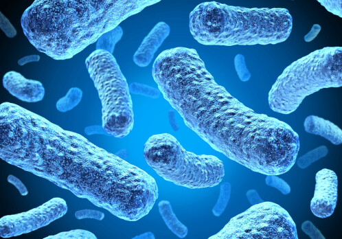 Increase in antibiotic-resistant E. coli infections