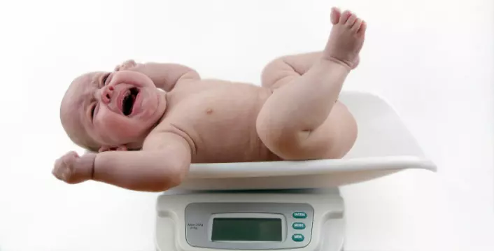 Miljøgiften PCB kan ha en negativ effekt på vekten til nyfødte. (Illustrasjonsfoto: iStockphoto)