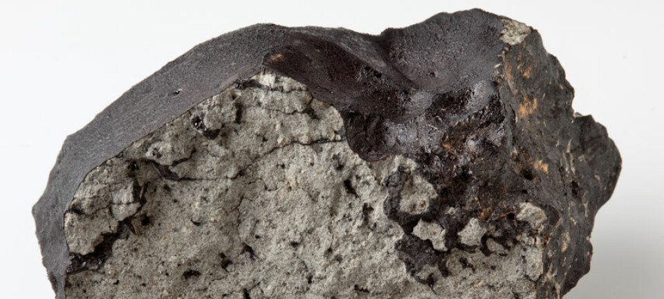 Den ferske bruddsida av denne 1,1 kilo tunge biten av Tissint-meteoritten viser de karakteristiske lommene av svart glass. Natural History Museum, London