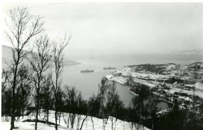 Narvik var utskipingshavn for jernmalmen fra svenske gruver. Det gjorde byen strategisk interessant for de europeiske stormaktene etter krigsutbruddet i 1939.