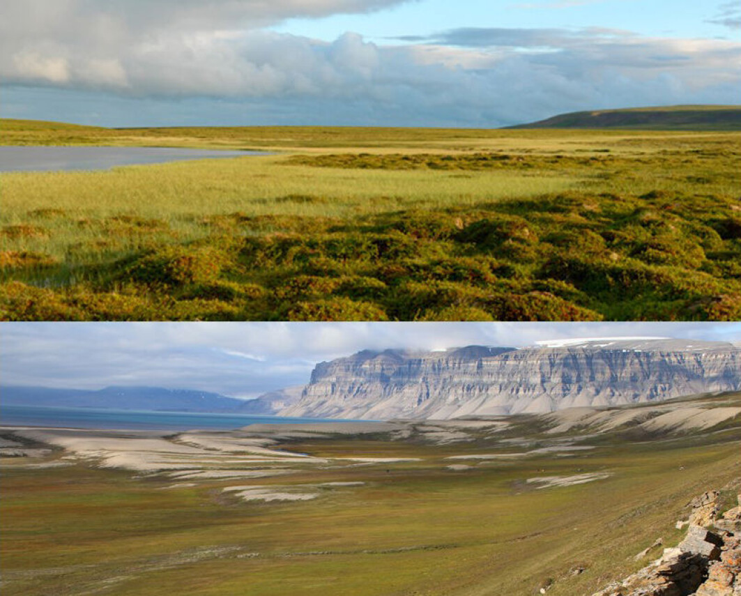 Norsk arktisk tundra er delt inn i to: en lav-arktisk tundra i Finnmark (øverst), og den høy-arktiske tundraen på Svalbard (nederst). Norsk arktisk tundra er delt inn i to: en lav-arktisk tundra i Finnmark (øverst), og den høy-arktiske tundraen på Svalbard (nederst).