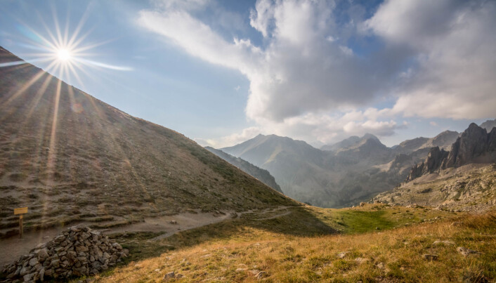 Dette bildet er fra Mercantour-nasjonalparken i Frankrike, samme område som forskningen som har blitt gjennomgått stammer fra. Dette er altså de sørvestlige alpene. Dette bildet er fra Mercantour-nasjonalparken i Frankrike, samme område som forskningen som har blitt gjennomgått stammer fra. Dette er altså de sørvestlige alpene.