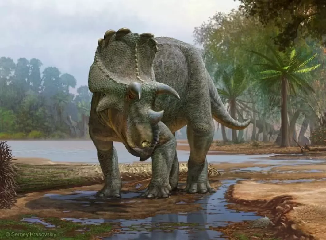 Denne dinosauren har nylig fått et eget navn av forskere. Den heter Menefeeceratops sealeyi, og er den eldste som er oppdaget i en dinosaur-familie som heter Ceratopsidae.