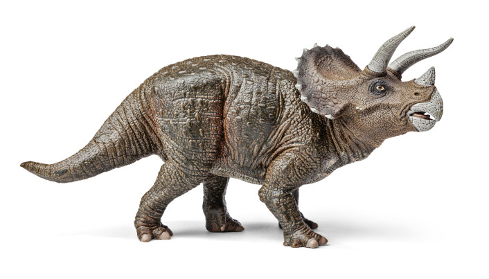 <span class=" italic" data-lab-italic_desktop="italic">Triceratops</span> hadde også tre horn og nebb, men kunne antakelig bli dobbelt så stor som <span class=" italic" data-lab-italic_desktop="italic">Menefeeceratops</span>. <span class=" italic" data-lab-italic_desktop="italic">Triceratops</span> hadde også tre horn og nebb, men kunne antakelig bli dobbelt så stor som <span class=" italic" data-lab-italic_desktop="italic">Menefeeceratops</span>.