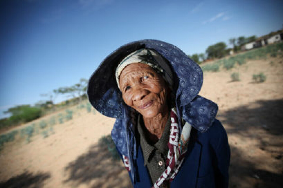 Bildet av 82 år gamle Una, som tilhører san-gruppen khomani, ble tatt i Kalahariørkenen i Sør-Afrika for tre år siden. Ny studie viser at sanfolkenes forfedre skilte lag med andre afrikanere for minst 100 000 år siden. (Illustrasjonsfoto: Dan Kitwood/iStokcphoto)