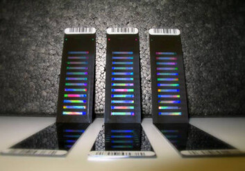 DNA-chipen brukes til å teste genetiske markører. (Foto: Matthew Kent i CIGENE) DNA-chipen brukes til å teste genetiske markører. (Foto: Matthew Kent i CIGENE)