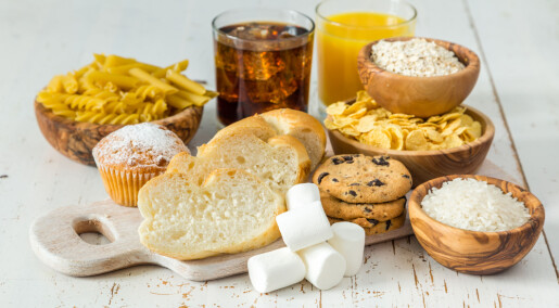 Forskere: Karbohydrater og insulin kan ikke forklare fedme
