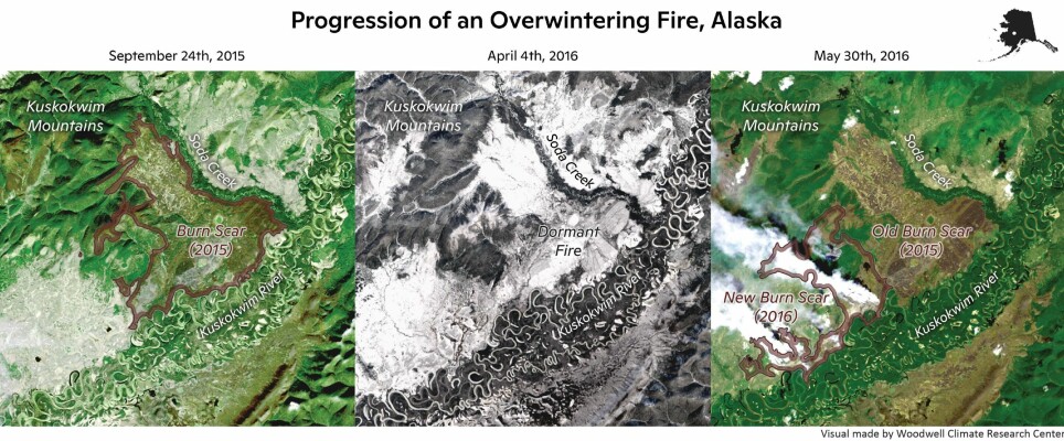 Her viser forskerne hvordan fenomenet ser ut. Til venstre ser du et rødt område, som var restene av en stor skogbrann i 2015. I midten er det samme området om vinteren og snødekket. Til høyre har brannen gjenoppstått på våren 2016 ved siden av den gamle, og du kan se de hvite røyksøylene fra brannen.