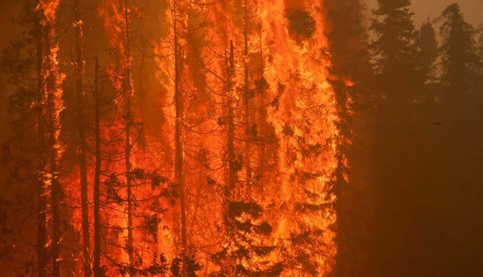 Illustrasjonsbilde: Dette er en skogbrann kalt Sockeye Fire i 2015, som herjet i deler av Alaska. Det er uvisst hvordan akkurat denne brannen startet.