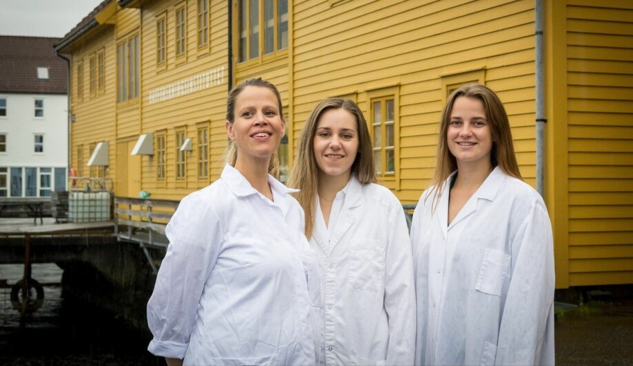 Forsker Inger Aakre har sammen med masterstudentene Dina Solli og Lidunn Evensen undersøkt tang- og tareprodukter. I tillegg undersøkte de hva som skjer hos dem som har tang og tare i kostholdet sitt.