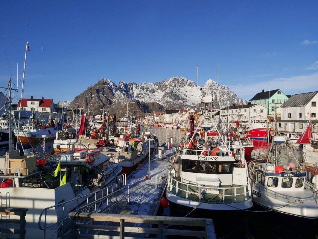 Henningsvær havn vinteren 2021 Henningsvær havn vinteren 2021
