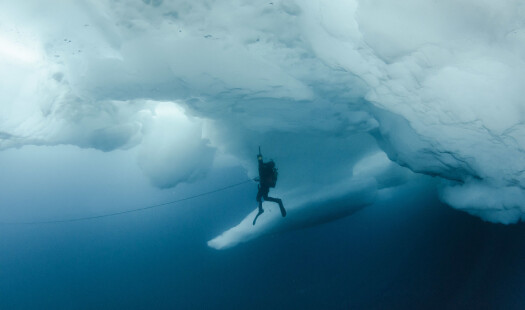 Det dype mørkeblå havet i Arktis